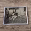 Üvegre készült fotógravírok - Image 14