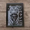 Üvegre készült fotógravírok - Image 7